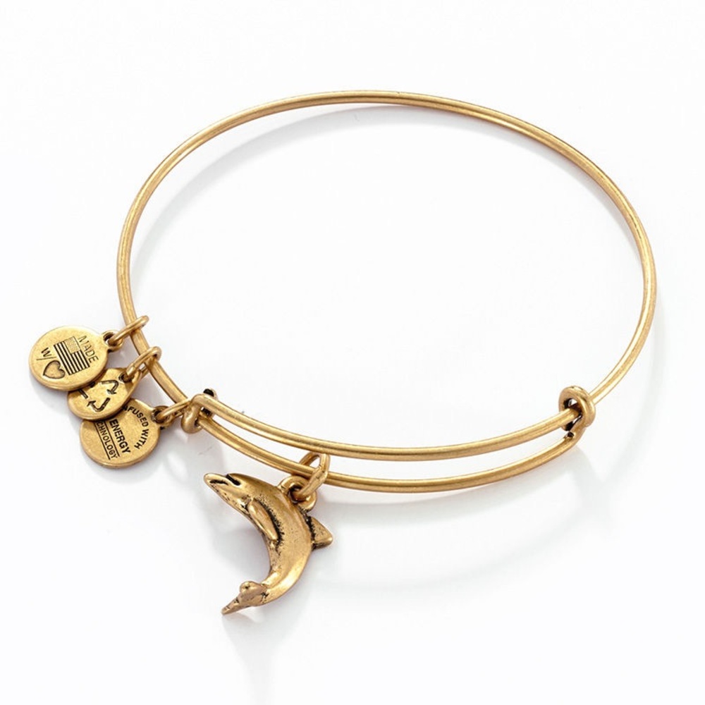 Alex and Ani Gold Dolphin Charm Bracelet